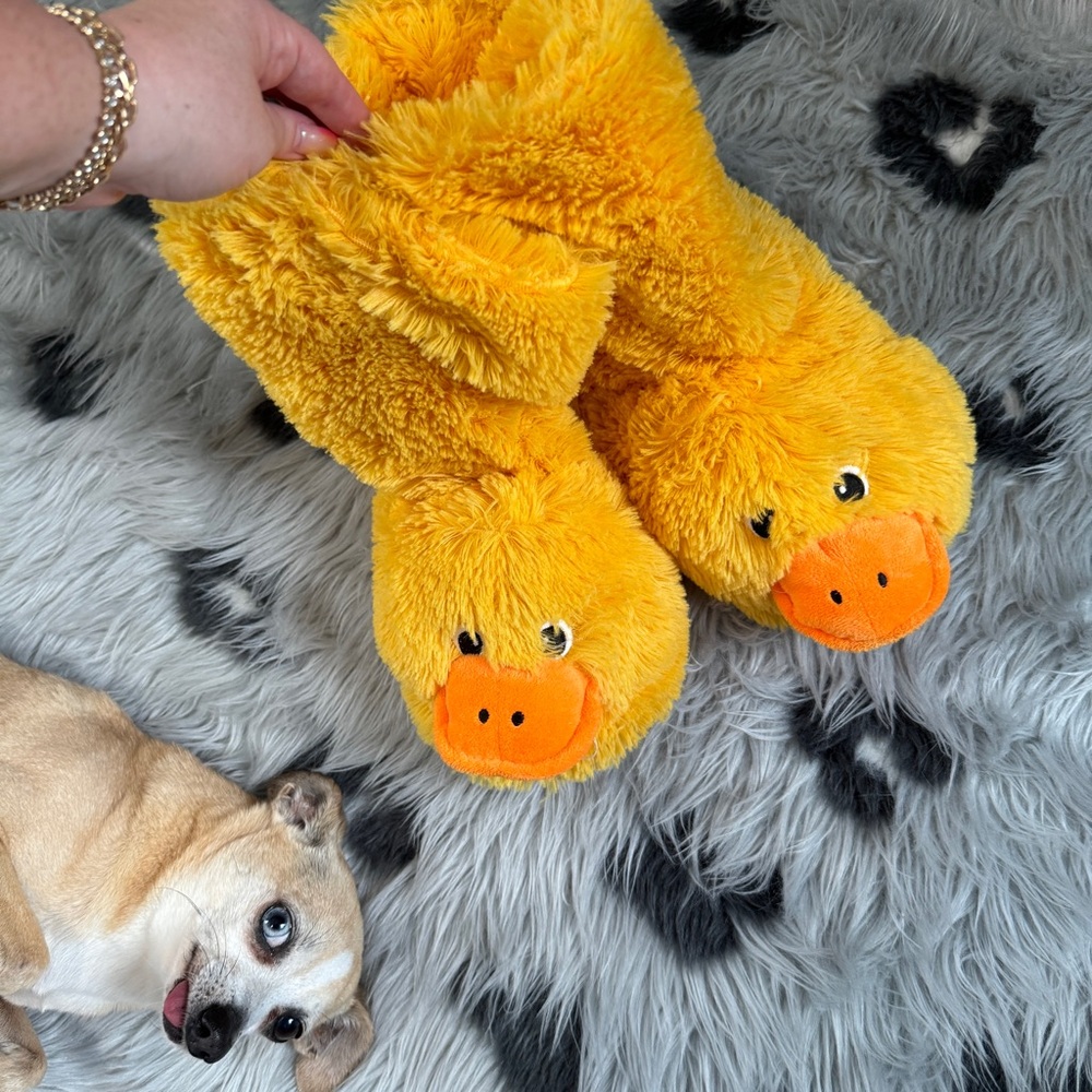 Capelli of New York Duck Slippers